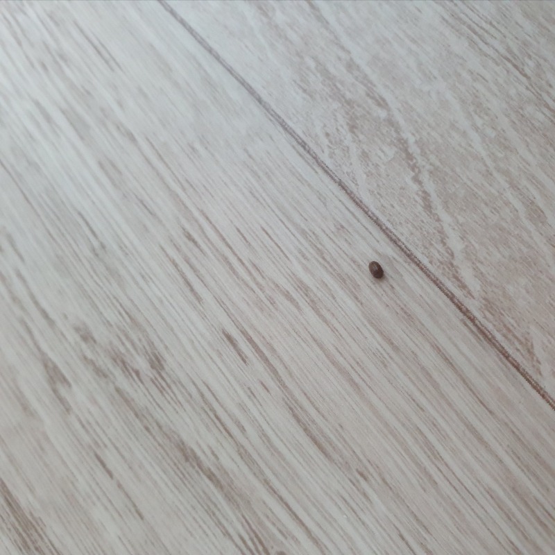 20210224_013347.jpg