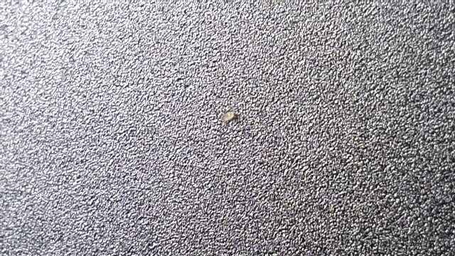KakaoTalk_20210322_185333219.jpg