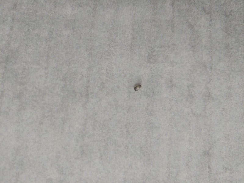 20210322_070230.jpg