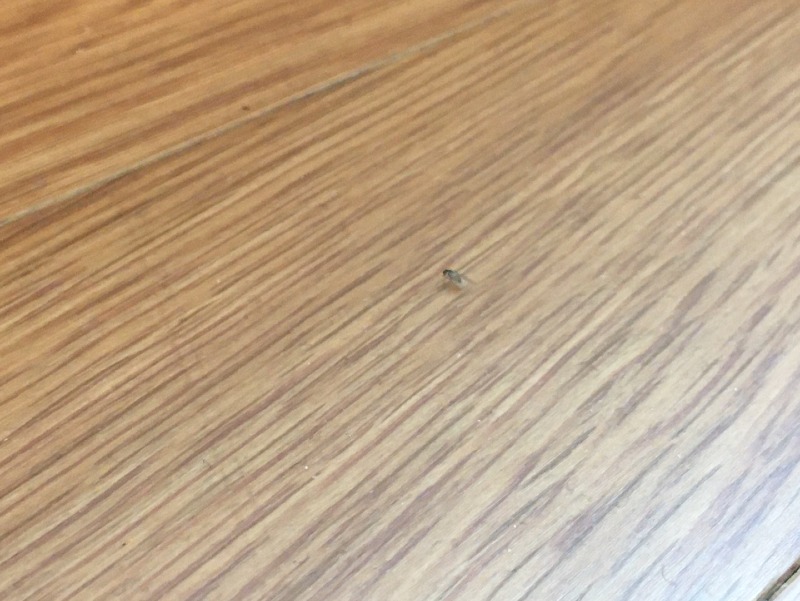 KakaoTalk_20210420_154007744.jpg