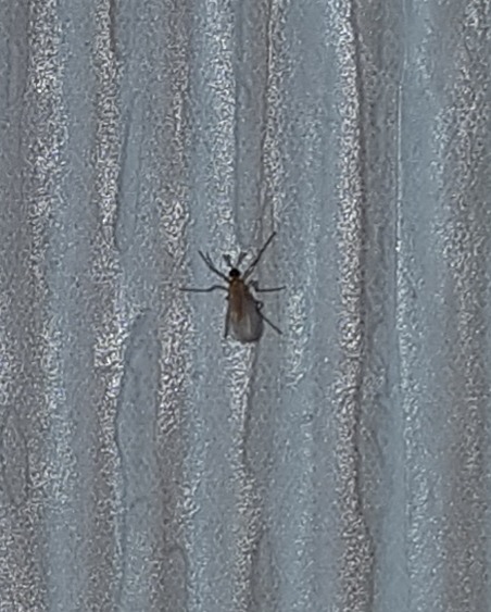 20210425_230255.jpg
