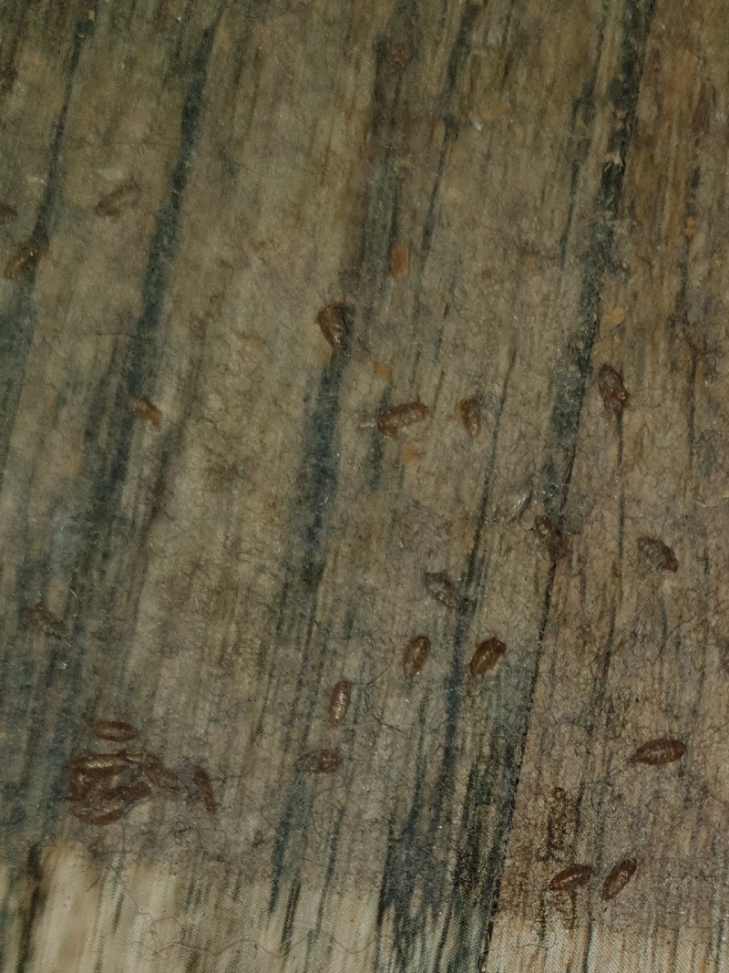 20210501_173643.jpg