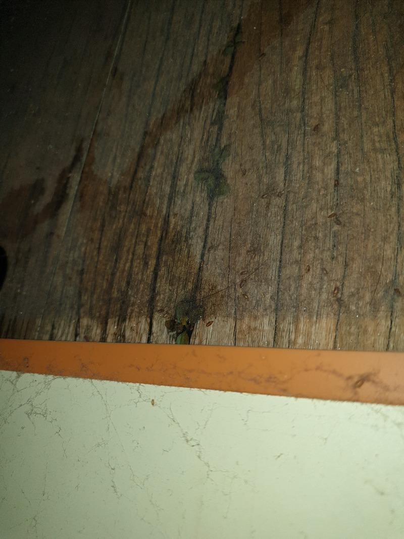 20210501_162239.jpg