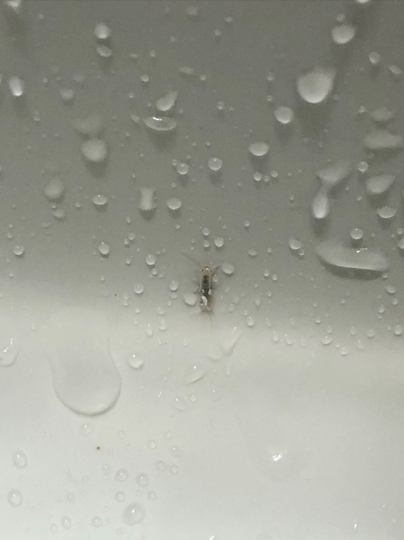 BB2E3196-AE64-47D6-B190-009DA7608C7B.jpeg