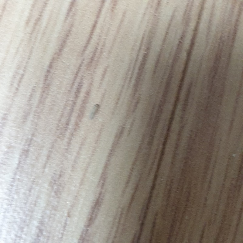 20210503_223425.jpg