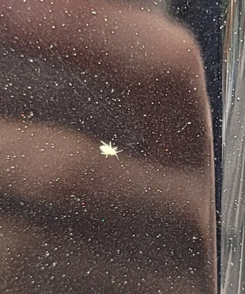 Resized_20210507_071151 (2).jpg