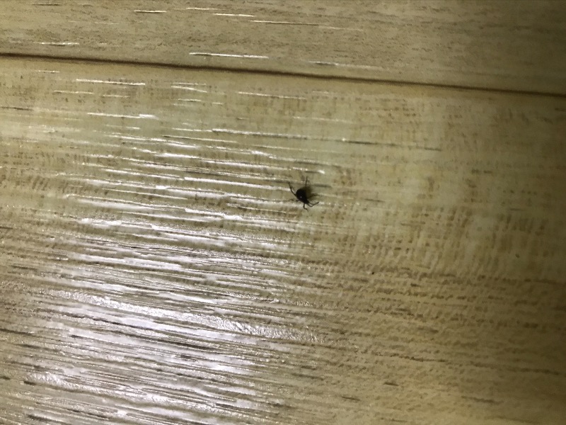 064436B4-6EDE-4D28-9A20-2D0B5520EC34.jpeg