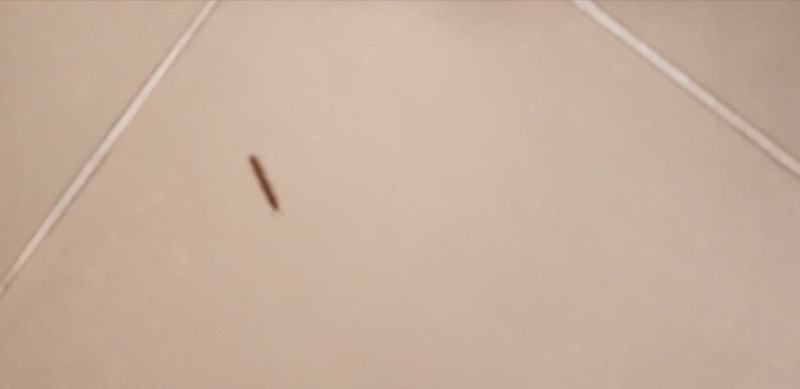 20210527_100949.jpg