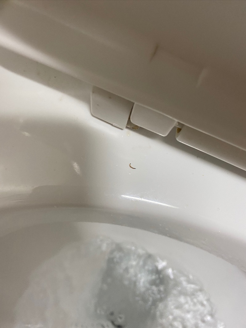 1C6F73FC-AE07-4483-B302-00F753BD74B2.jpeg