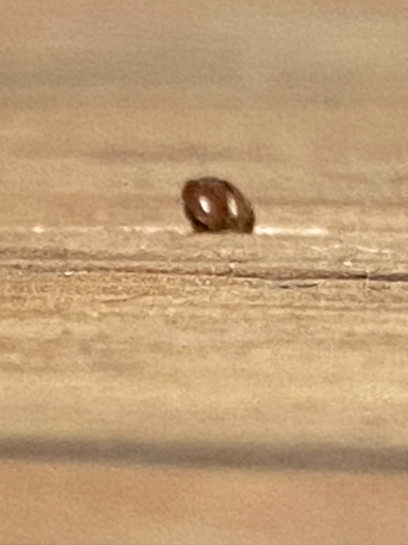 359DCE6B-425F-4ABC-9076-AAE11638C50F.jpeg