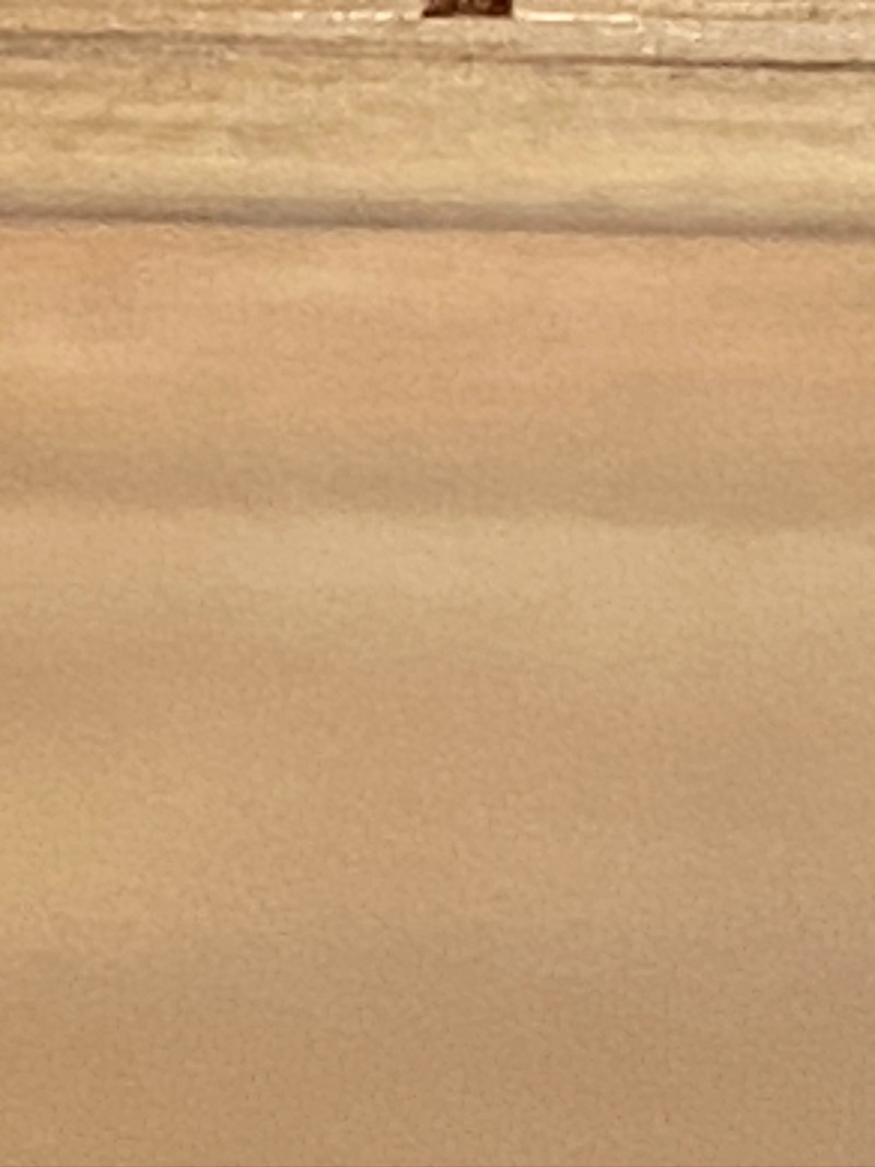 4FA61E7B-BBC6-41AB-8B5F-F338FC12BFF2.jpeg