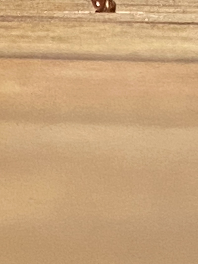 A220646E-DE01-4813-A957-67799DF23DEA.jpeg