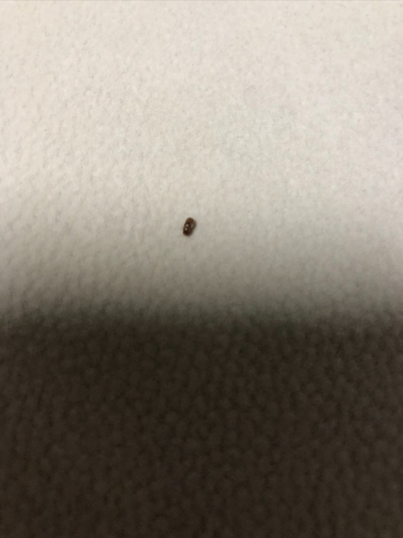 D811923A-4B41-4E0C-84AF-91224B849BDD.jpeg