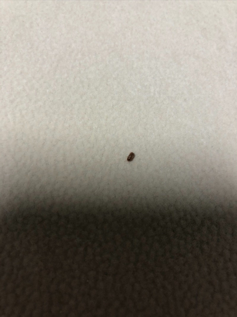 FD9554CA-C835-4B4B-9A04-5BB2DC63ED7F.jpeg