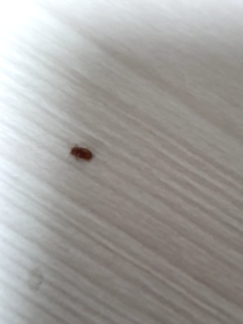 20210615_224315_capture.jpg