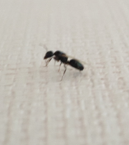 bandicam 2021-07-01 12-33-25-797.png