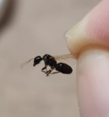 bandicam 2021-07-01 12-33-32-390.png