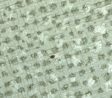CAA097AF-9922-4D30-8294-CB8F5A664BCF.jpeg