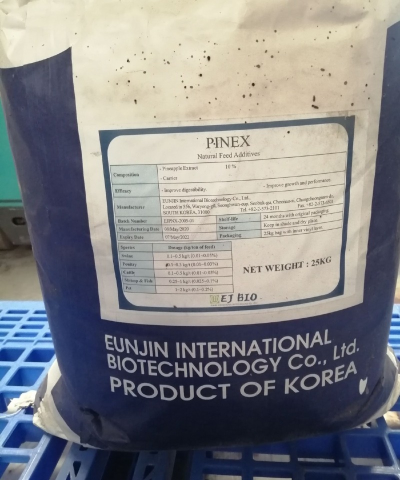 파이넥스 벌레_1.jpg