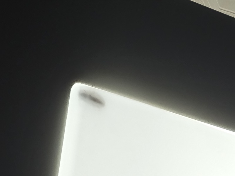 20210713_021959.jpg