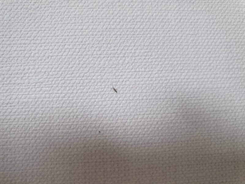 KakaoTalk_20210716_110655563.jpg