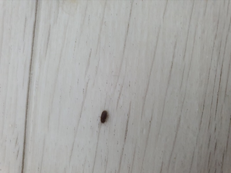 20210717_181404.jpg