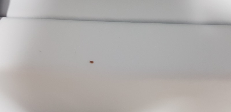 20210721_060121.jpg