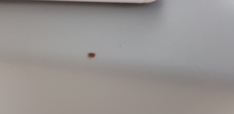 20210721_060135.jpg