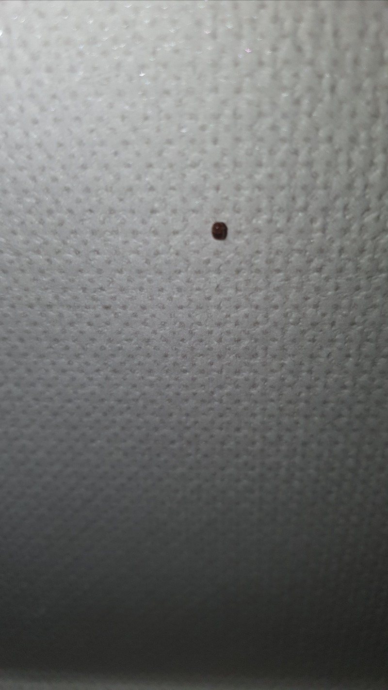 20210815_172457.jpg