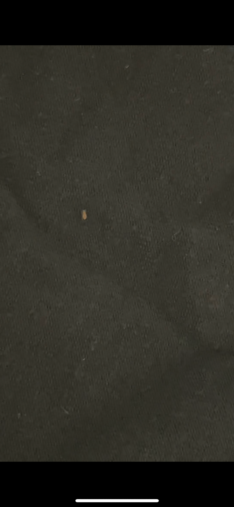 KakaoTalk_20210901_161609936.png