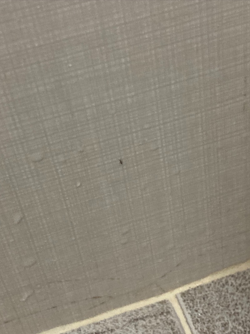 36B7C4EE-26C6-4504-B477-2C0AF18691DA.jpeg
