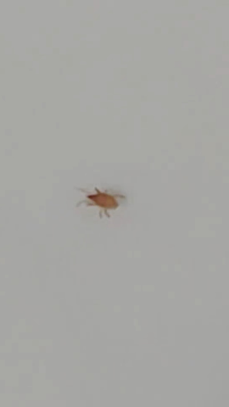 Screenshot_20210926-080027_Video Player.jpg