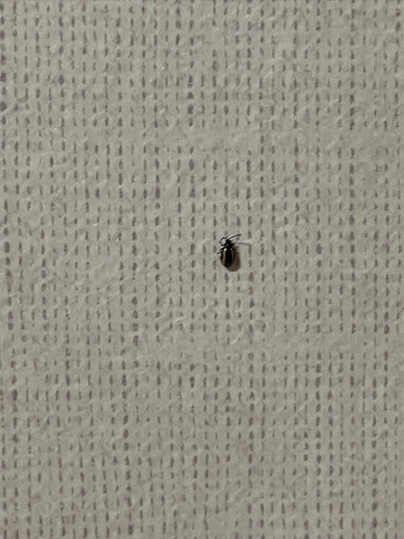 539D0834-45C6-4B52-8E40-E4BD526008A7.jpeg
