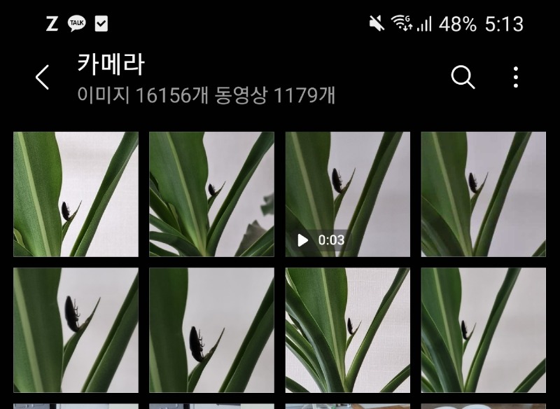 KakaoTalk_20211225_171319327.jpg