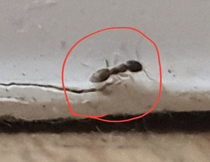 화면 캡처 2022-01-03 161143.png