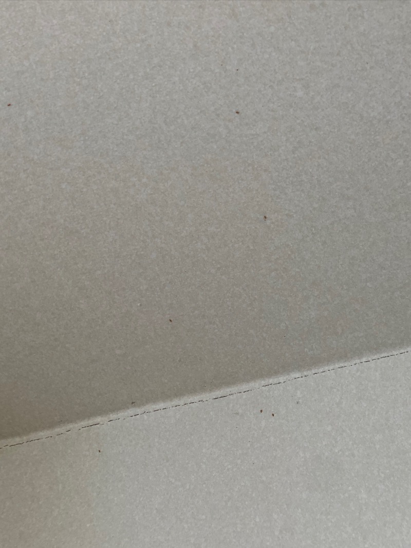 996C3830-F6AD-4F5B-9BDE-3079044C4E62.jpeg