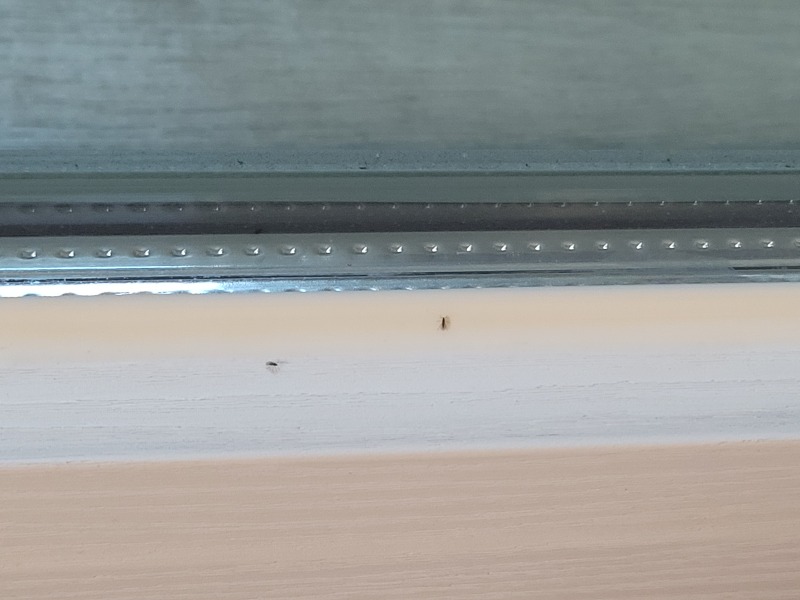 20220116_080539.jpg