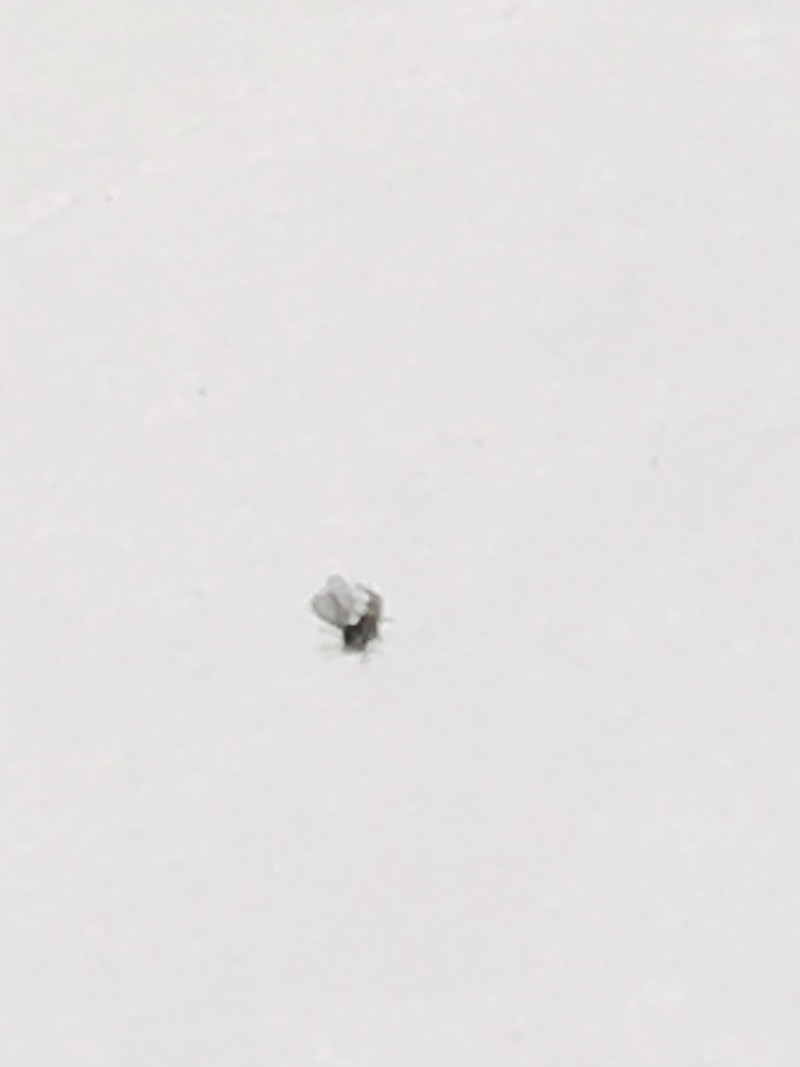 69639519-5B1C-4938-B186-8162CC7D7D1F.jpeg