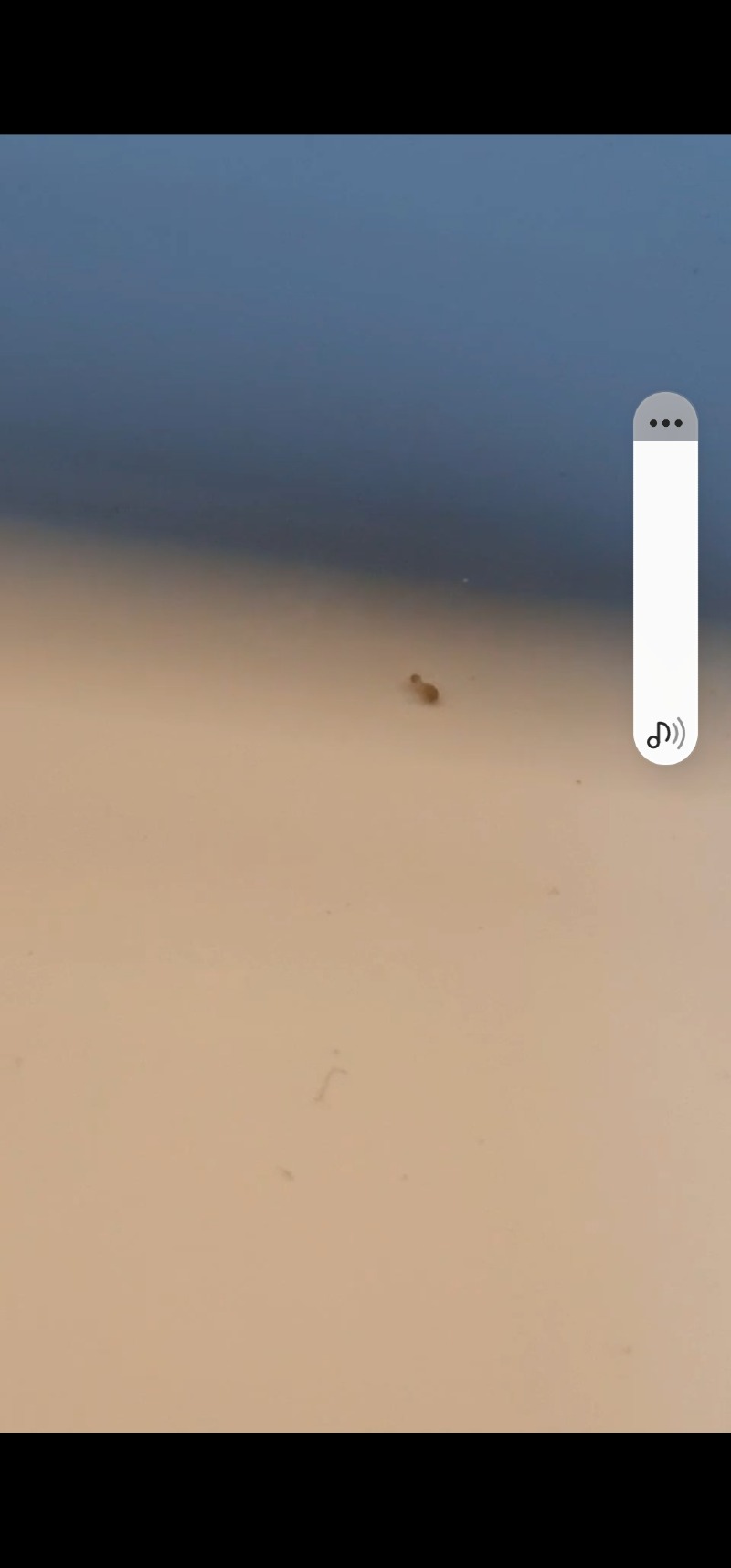 Screenshot_20220205-124311_Video Player.jpg