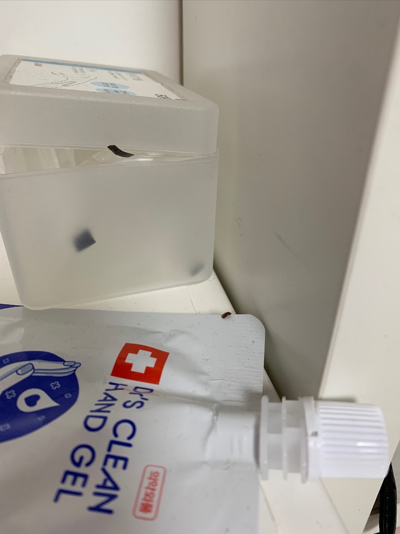 CBDB9433-6448-4D92-AB3F-BA2F14298ED1.jpeg
