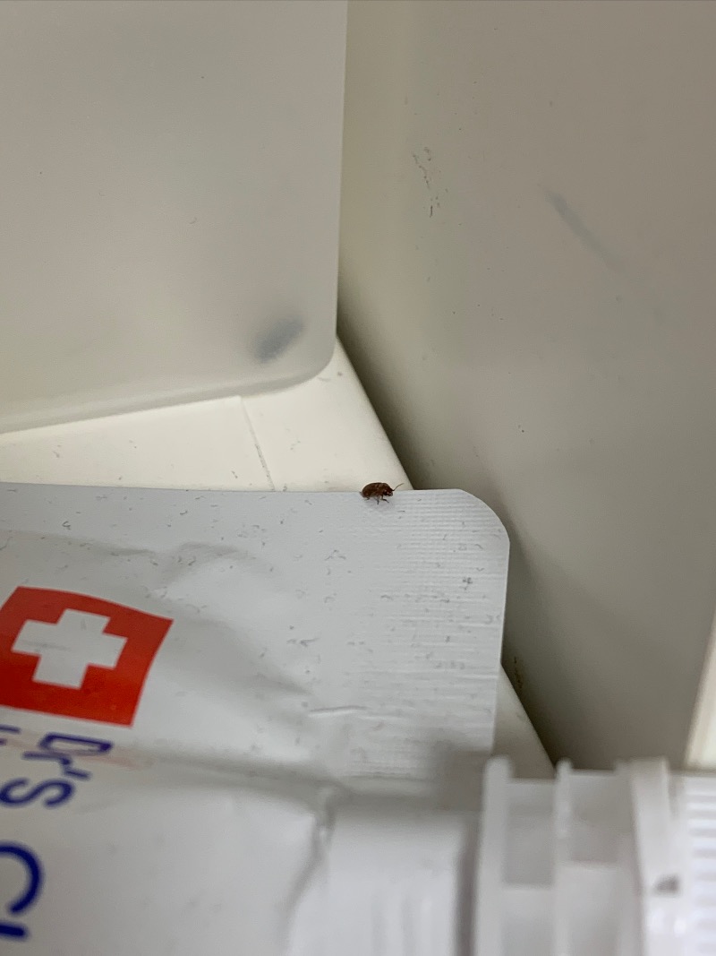 08F87426-DE4E-43DB-ABDF-84F1F54261DC.jpeg