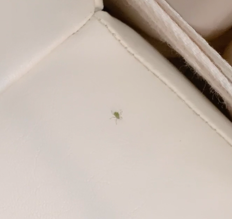 ㅅㅡㅋㅡㄹㅣㄴㅅㅑㅅ 2022-04-13 ㅇㅗㅎㅜ 4.46.12.png