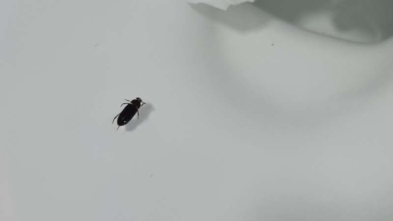 20220425_211058.jpg