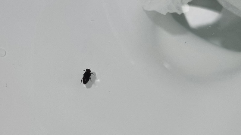 20220425_211050.jpg