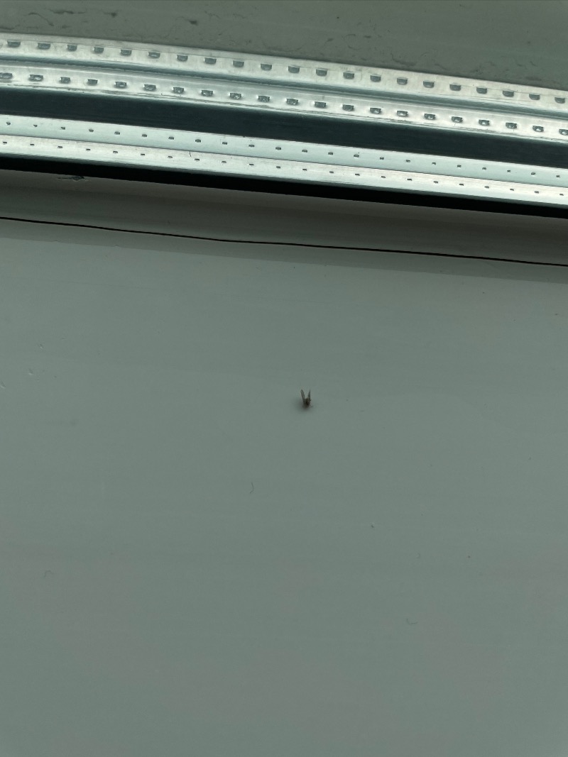 048A4634-BC32-4BC7-BB12-1766799E8E18.jpeg