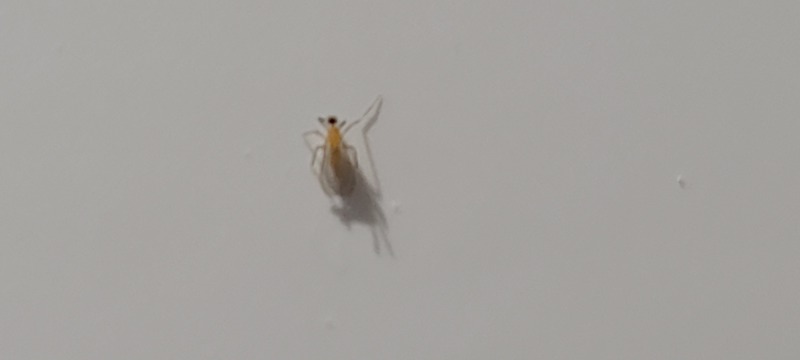 20220502_204147.jpg