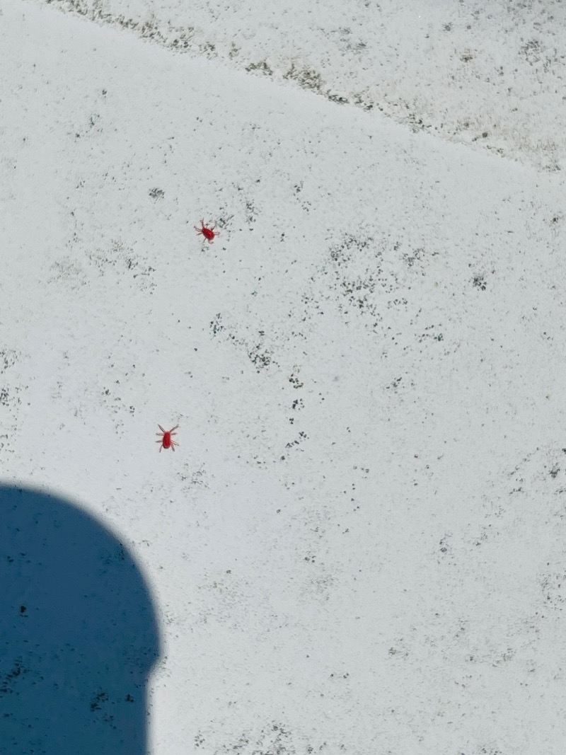 03865F78-32DE-455B-BF43-D285EC2A109C.jpeg