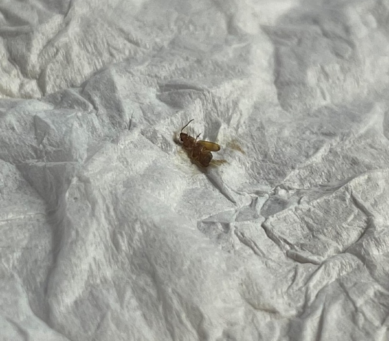 8C5AB8B4-75DC-427F-94C6-43C6B1B3D280.jpg