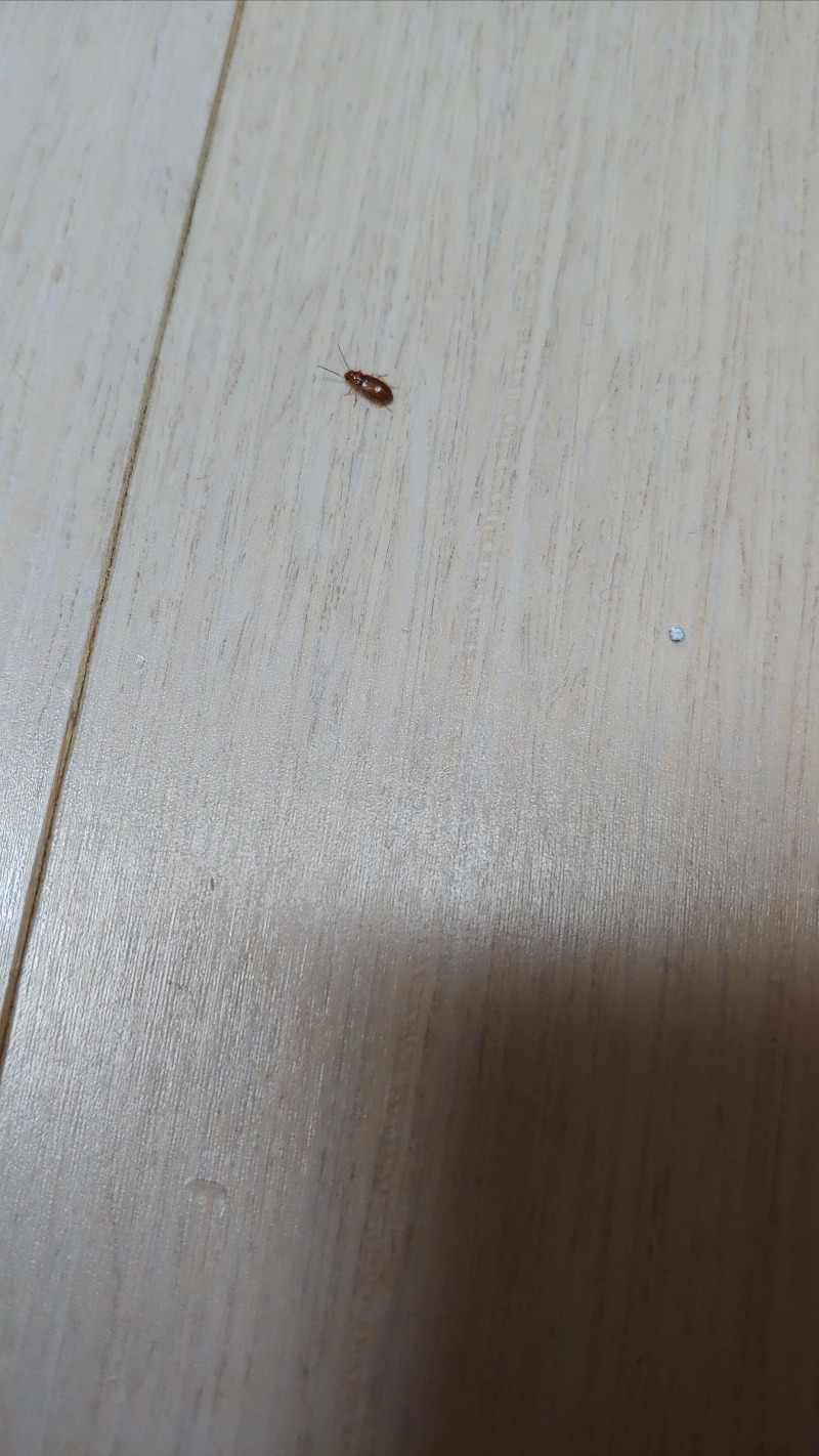 20220612_211216.jpg