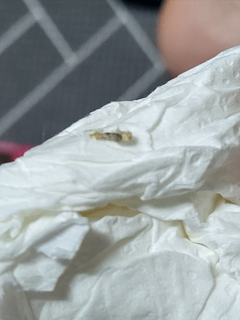 20220615_081905.jpg